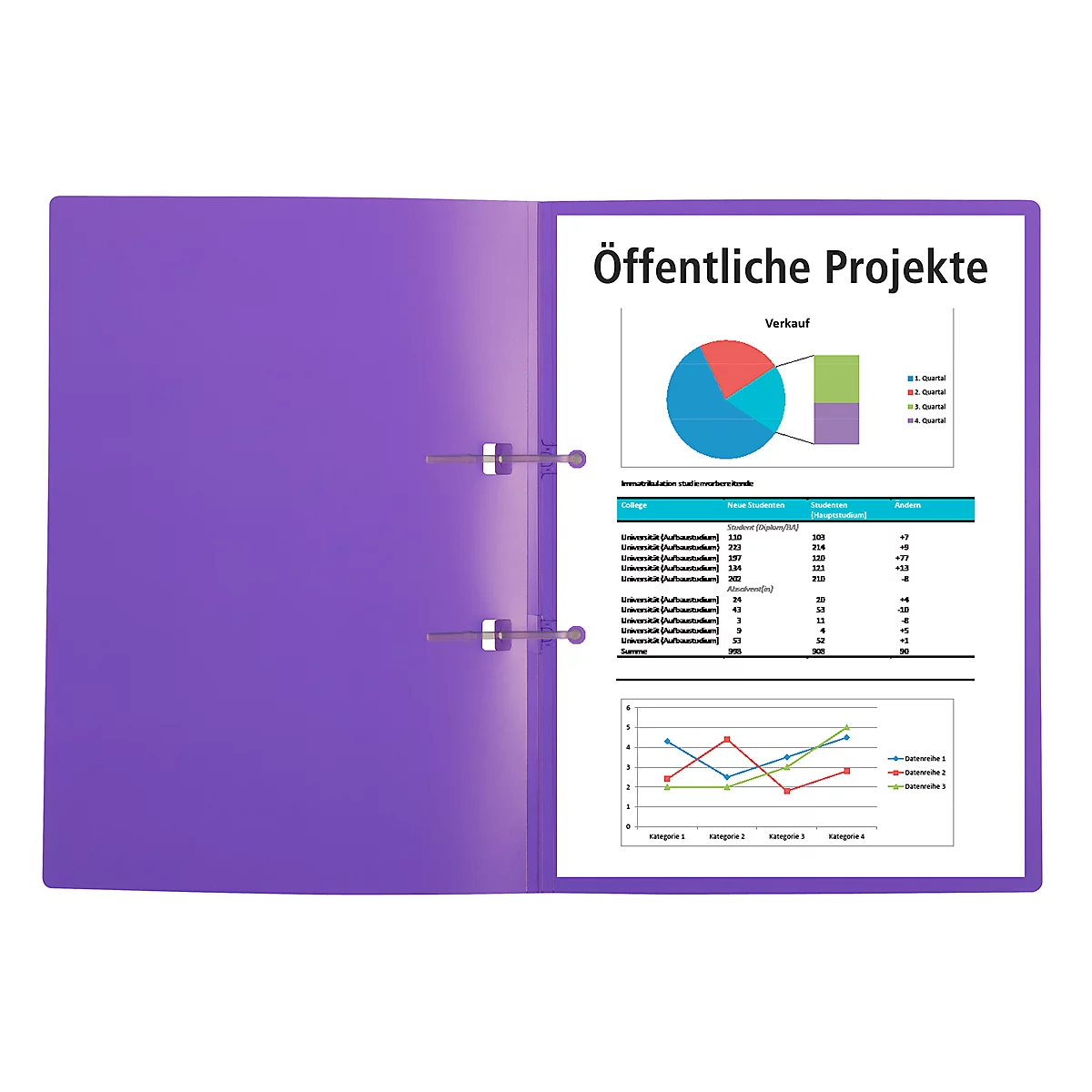 Folder with diagrams and tables. Inscription: Public projects.