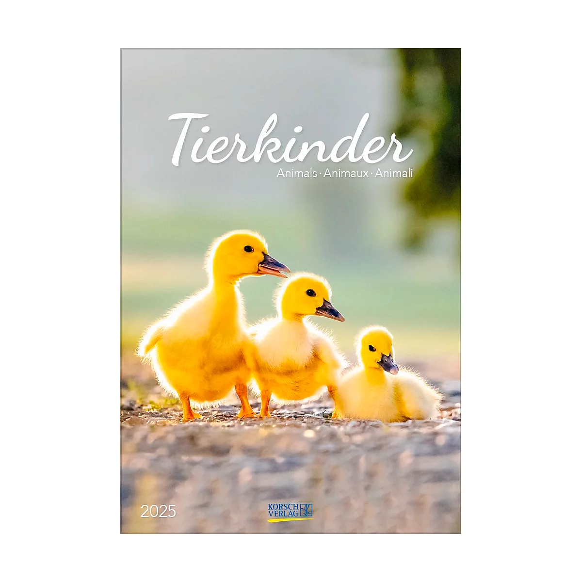 Korsch Bildkalender 'Tierkinder 2025', B 235 x H 335 mm