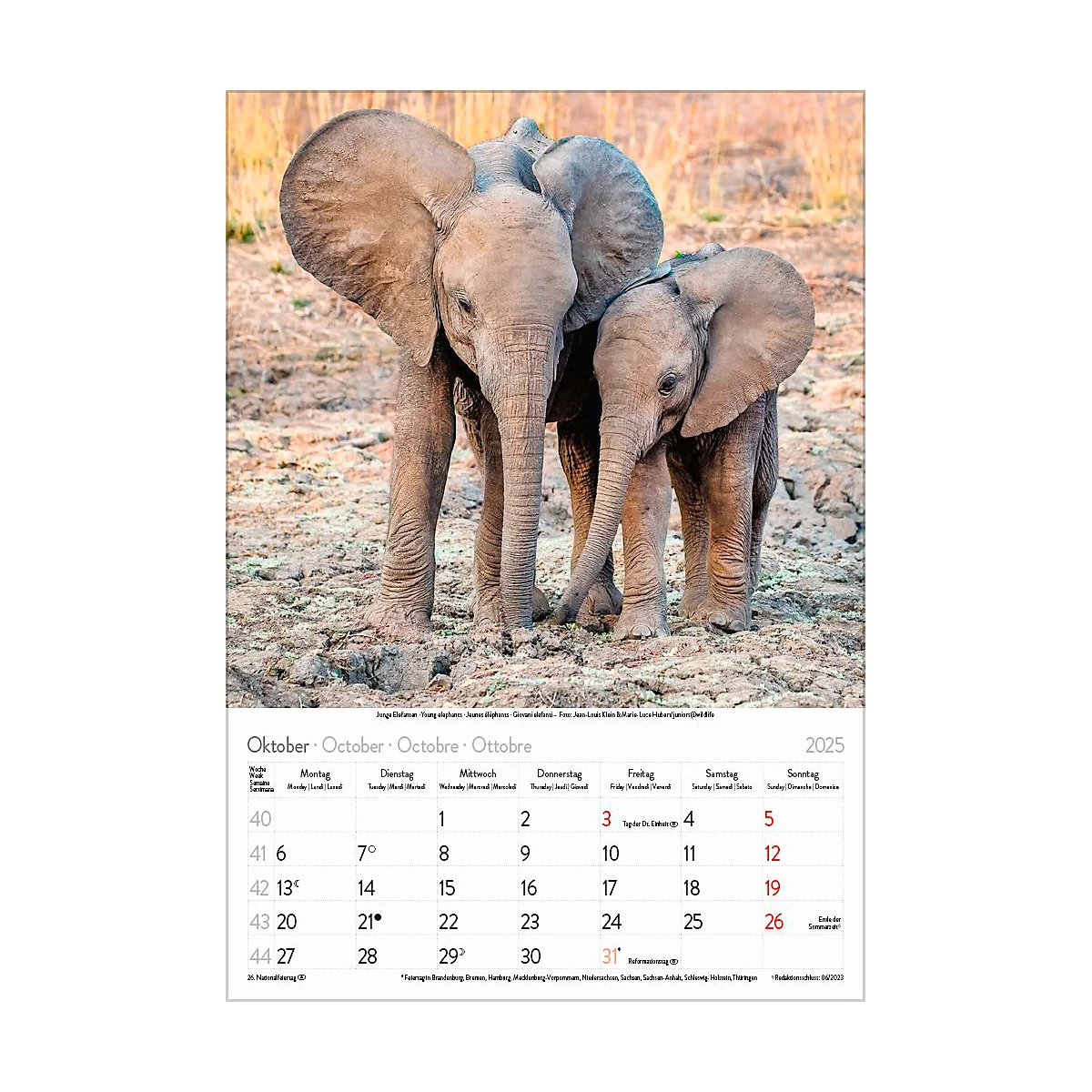 Korsch Bildkalender 'Tierkinder 2025', B 235 x H 335 mm
