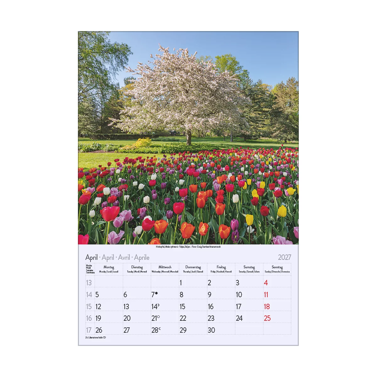 Un calendrier montrant le mois d'avril. En arrière-plan, un champ de fleurs avec des tulipes colorées et un arbre en fleurs.
