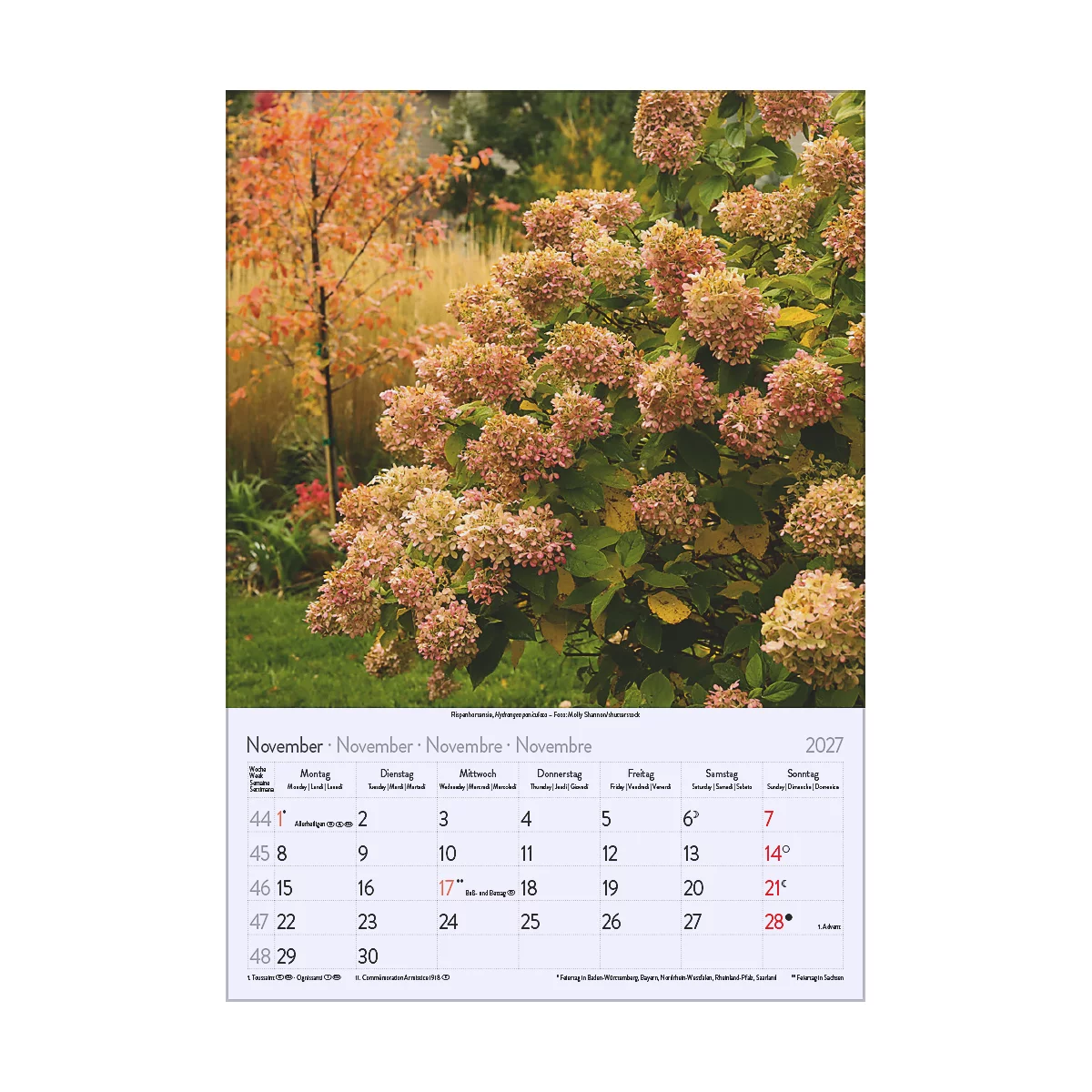 Un calendrier de novembre 2027 avec un gros plan sur des fleurs dans un jardin. Un arbre est visible en arrière-plan.