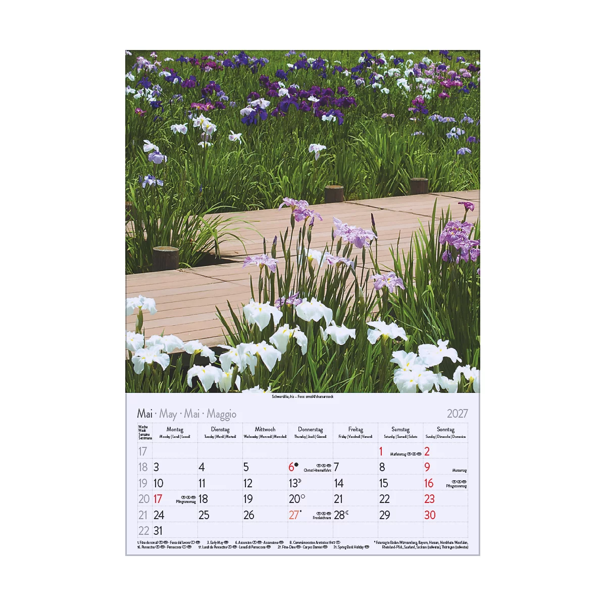 Calendrier de mai 2027 avec prairie fleurie, passerelle en bois et fleurs d'iris de différentes couleurs.