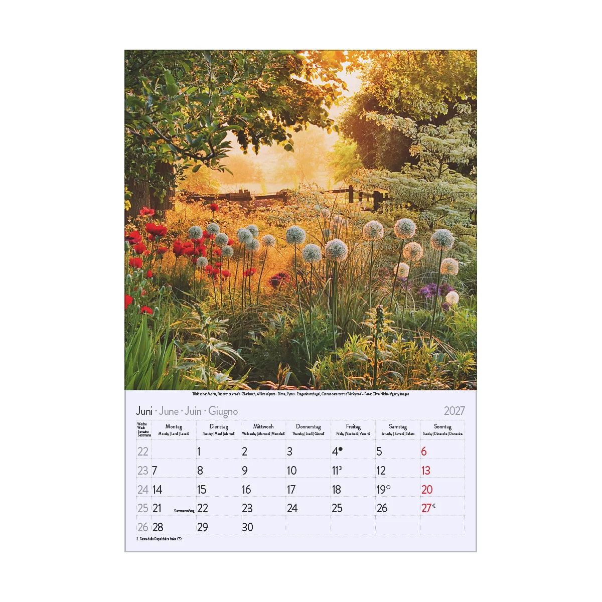 Un jardin en juin, avec des coquelicots rouges et des plantes bulbeuses en fleurs. Un calendrier pour juin 2027 est affiché en bas.