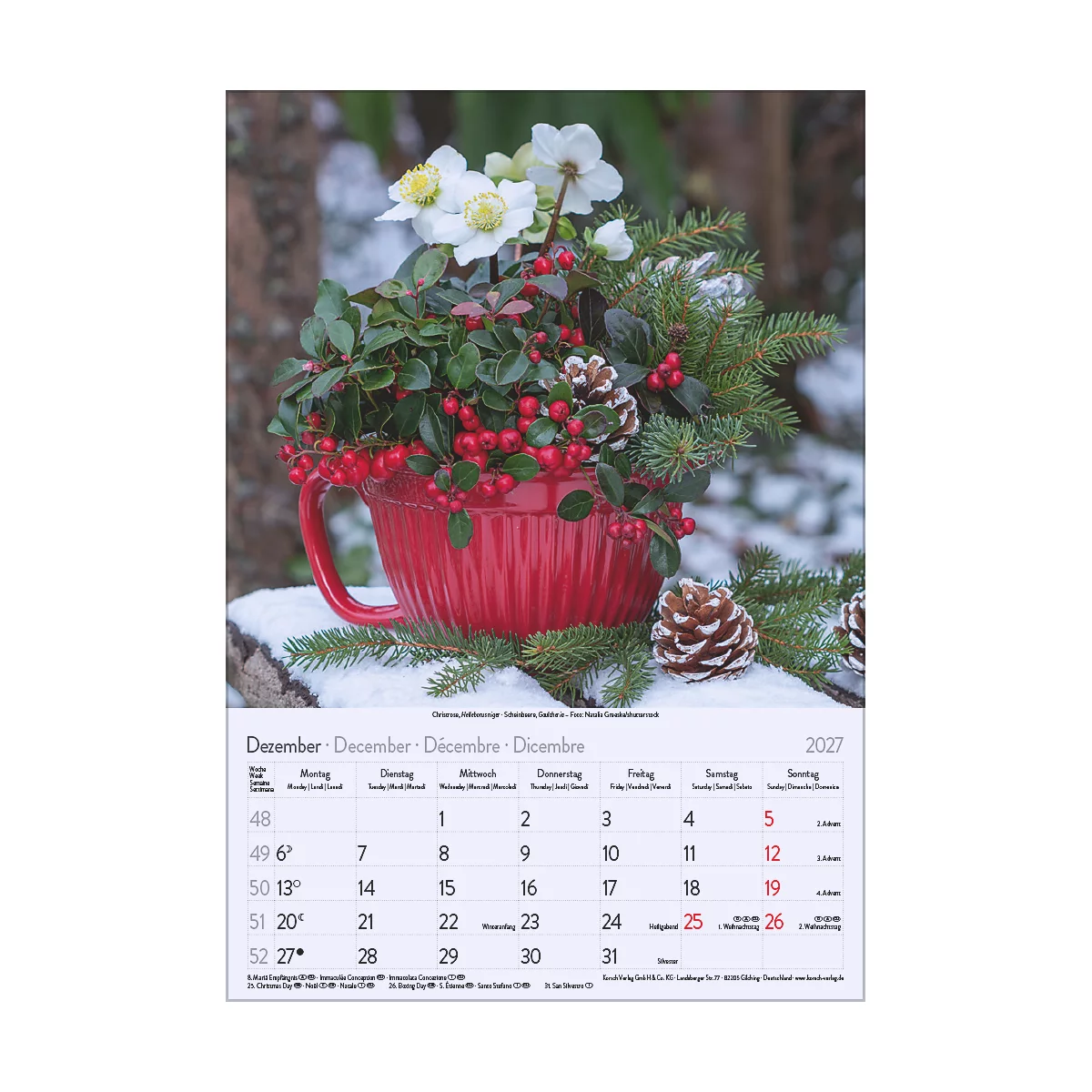 Bol rouge avec décorations de Noël : baies, sapin, fleurs, cônes, posé sur la neige. En bas, calendrier de décembre 2027.
