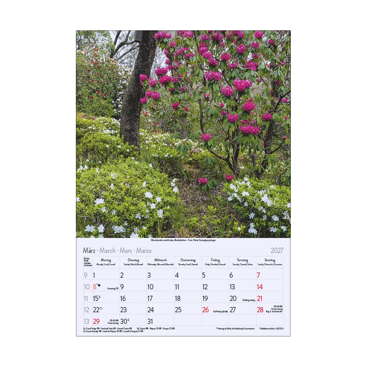 Calendrier avec les dates de mars 2027, avec des fleurs rouges en fleurs et des plantes vertes en arrière-plan.
