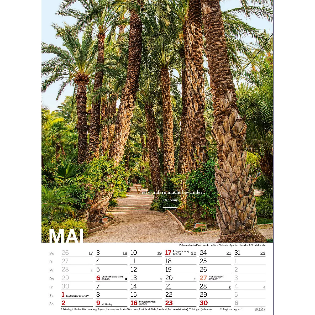 Un chemin à travers une palmeraie, avec un calendrier pour le mois de mai en arrière-plan.