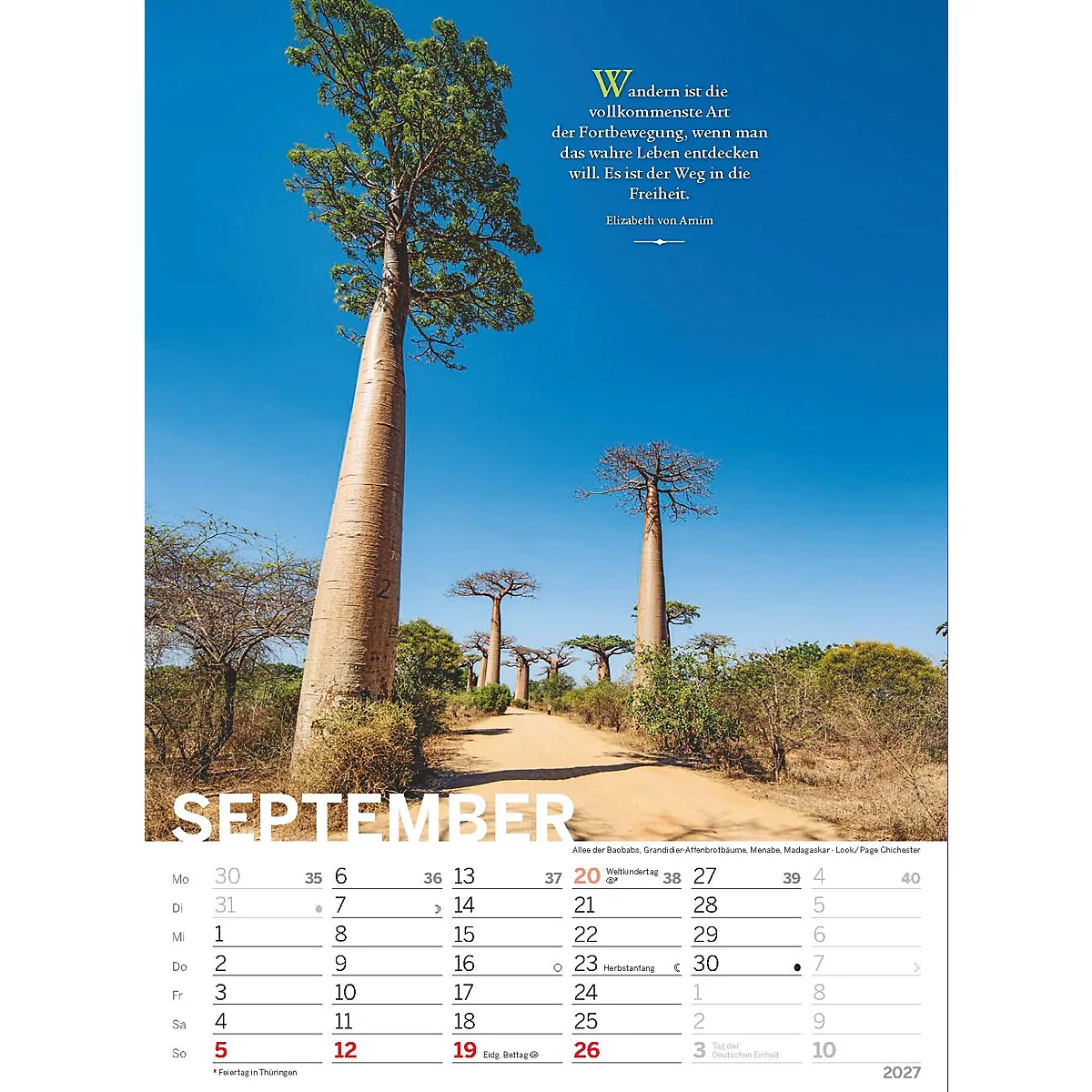 Vue sur les baobabs dans un paysage. En arrière-plan, un ciel bleu avec du texte. Calendrier de septembre 2021 dans la zone inférieure.