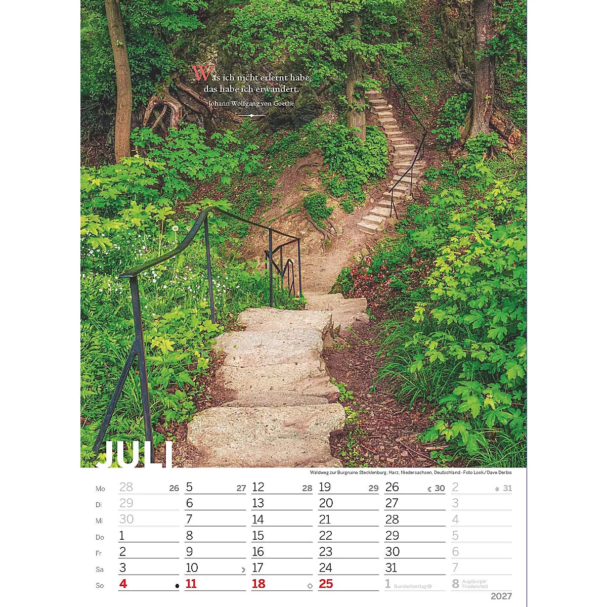 Escalier en pierre dans la forêt, entouré de broussailles vertes. Une citation est visible en haut, et "Juillet" est écrit en dessous avec le calendrier.