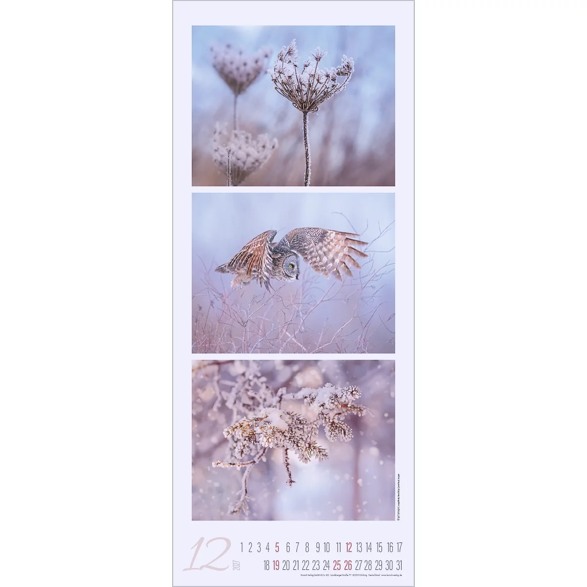 Calendrier avec trois clichés nature, fleur en haut, hibou en vol au centre, branche en bas. Mois 12 et date.