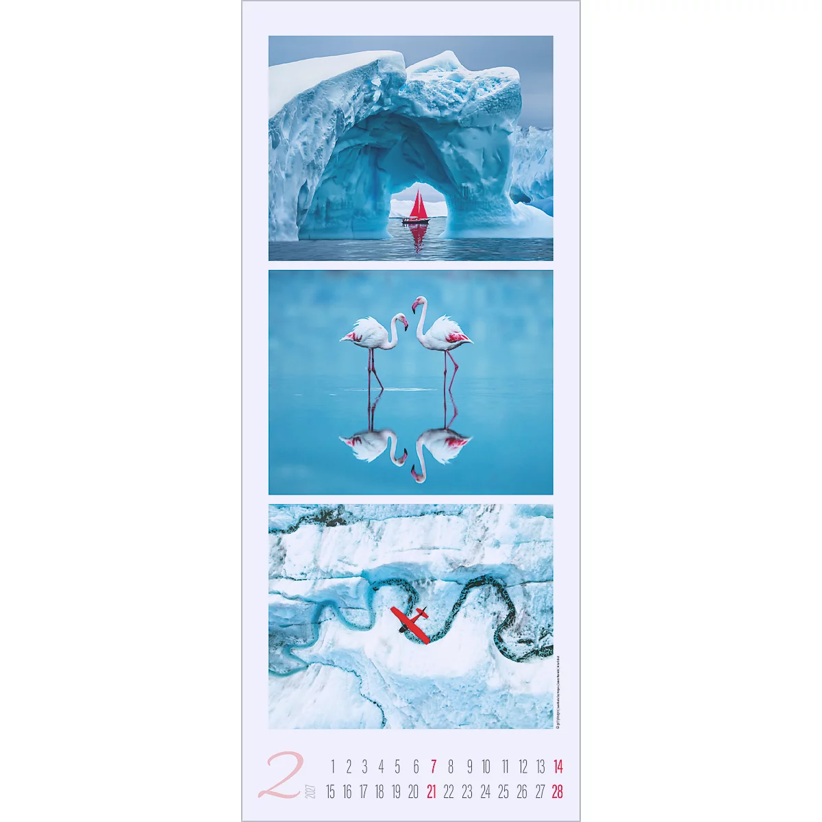 Calendrier mensuel avec trois motifs : iceberg, flamants roses dans l'eau, avion rouge au-dessus de la rivière dans un paysage enneigé. Mois de février.