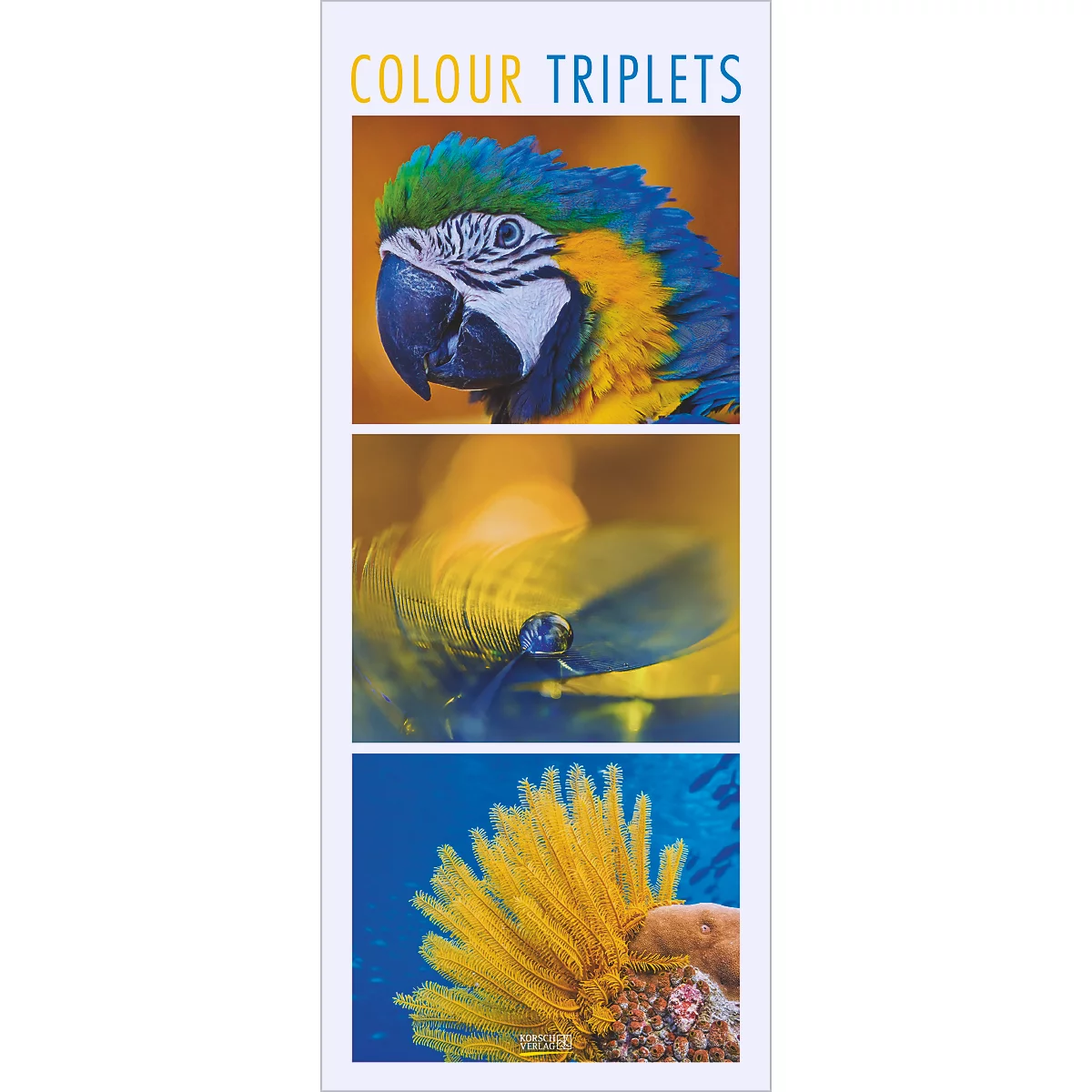 Image colorée avec un perroquet, présenté sous trois angles différents. Le texte "Colour Triplets" est visible en haut.