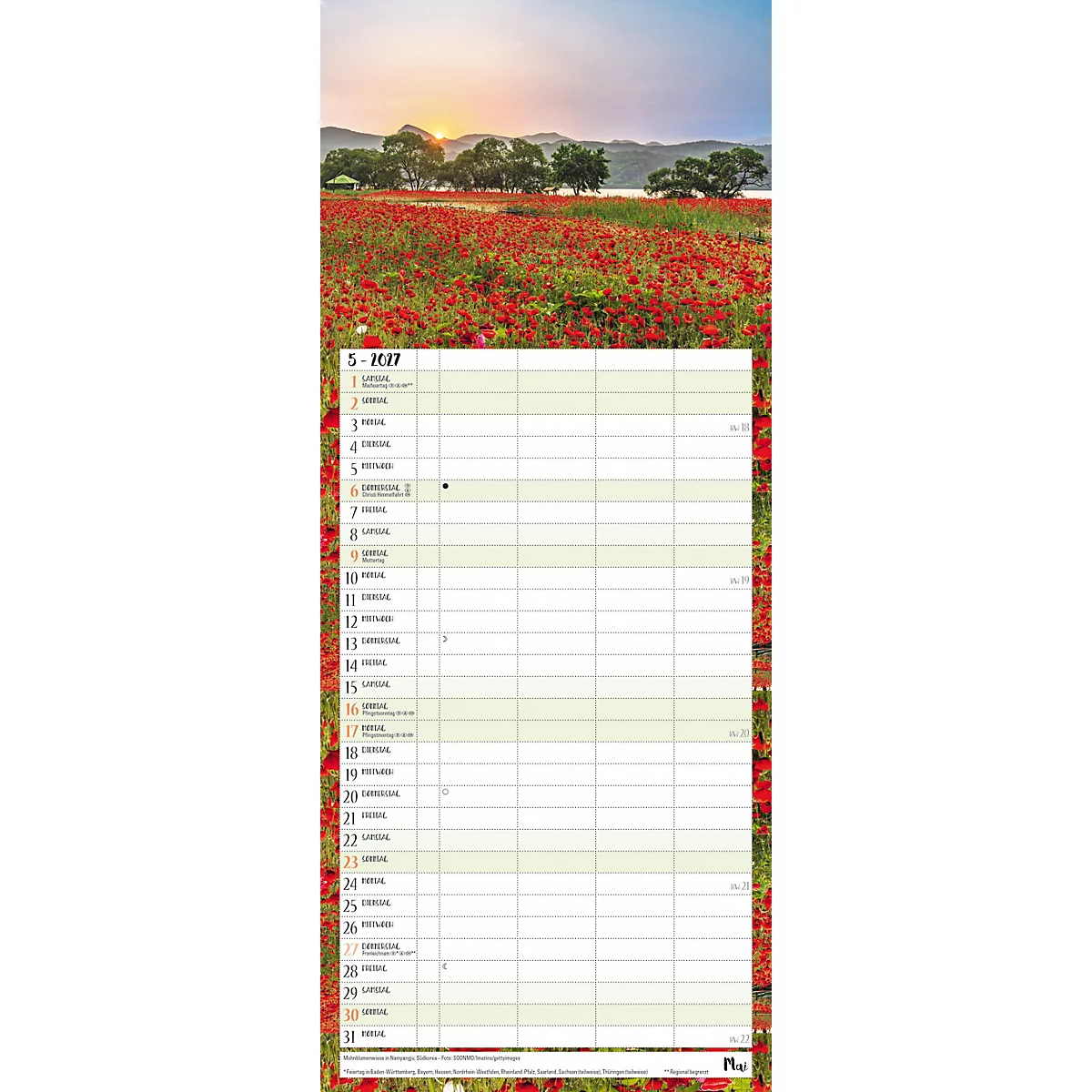 Calendrier avec le mois de mai et un champ de coquelicots rouges en arrière-plan.