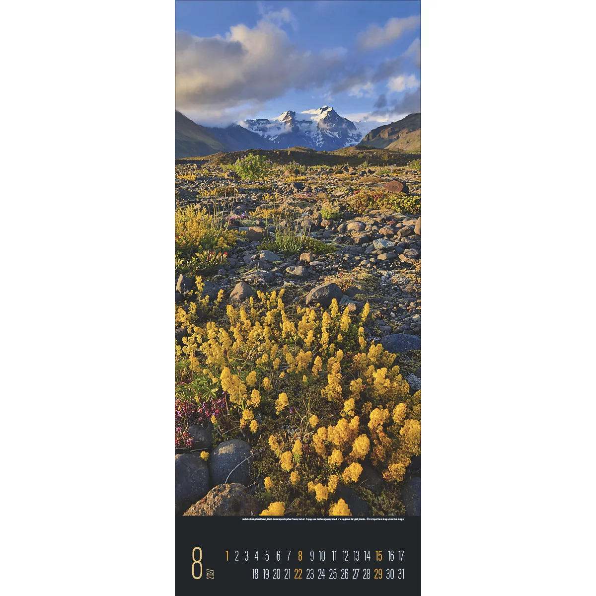 Photo de paysage : plantes à fleurs jaunes devant une toile de fond montagneuse. Un calendrier avec le mois d'août est visible en bas.