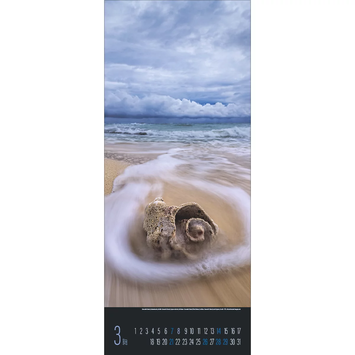 Un caillou en coquillage sur la plage, lavé par une vague tourbillonnante. Des nuages couvrent le ciel, le mois de mars est daté.