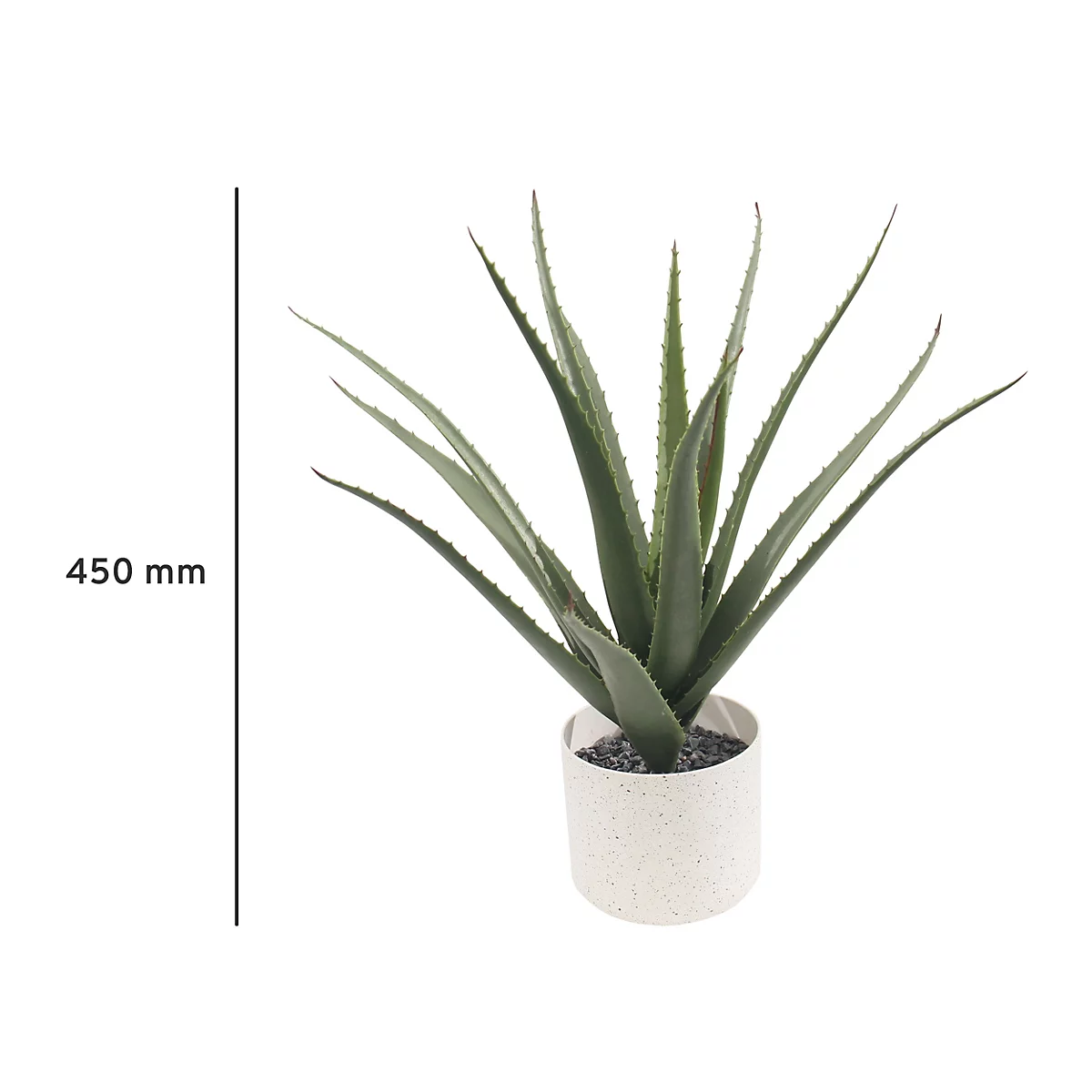 Eine Aloe Vera Pflanze in einem weißen Topf, 450 mm hoch.