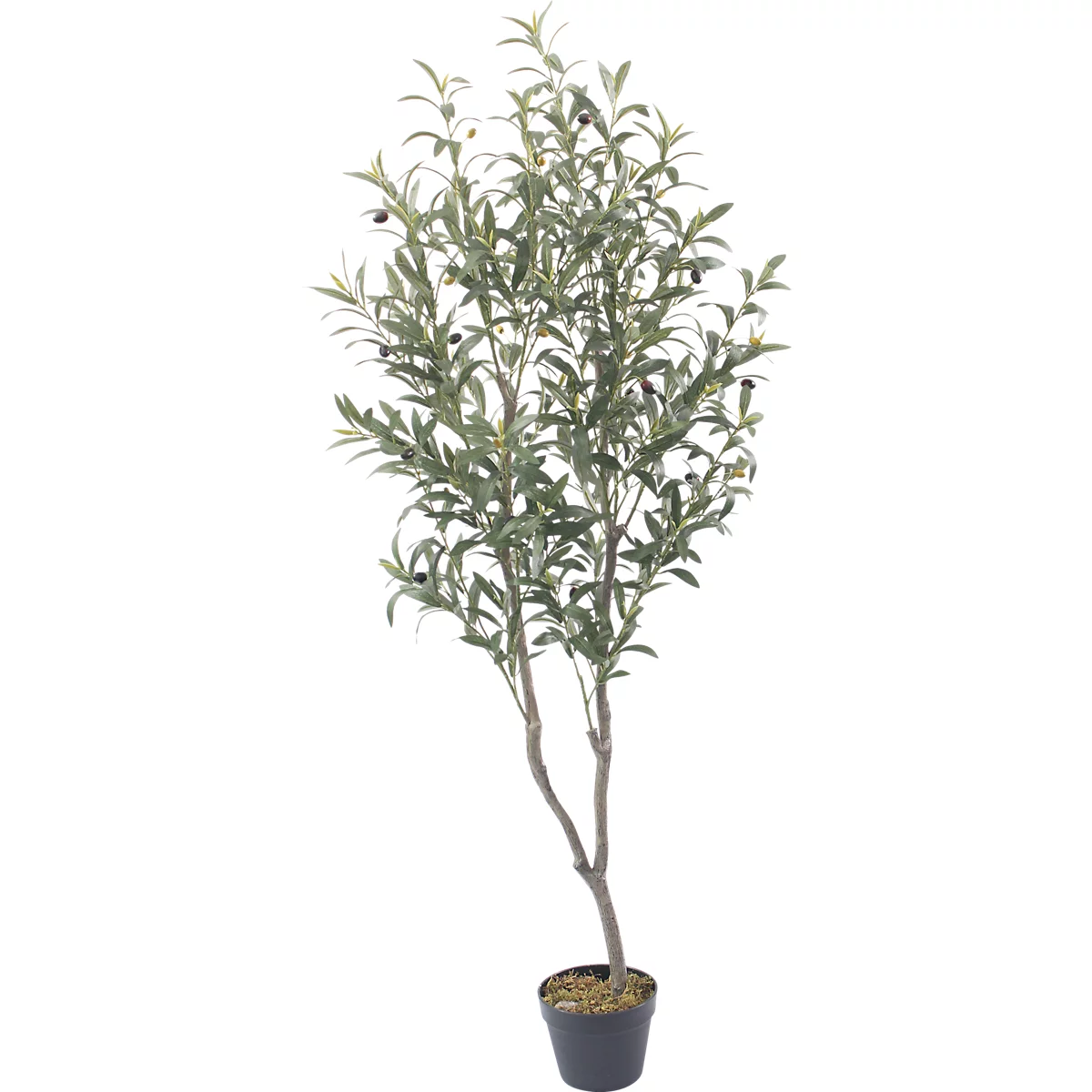 Kunstpflanze meet® by Paperflow Olivenbaum, inkl. Kunststoff-Topf, H 1550 mm, Polyester/PE