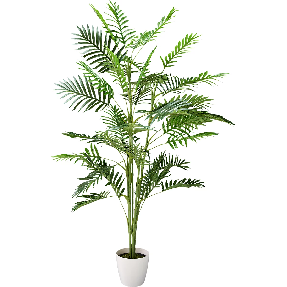 Graue Kamera-Umrisszeichnung auf weißem Hintergrund.