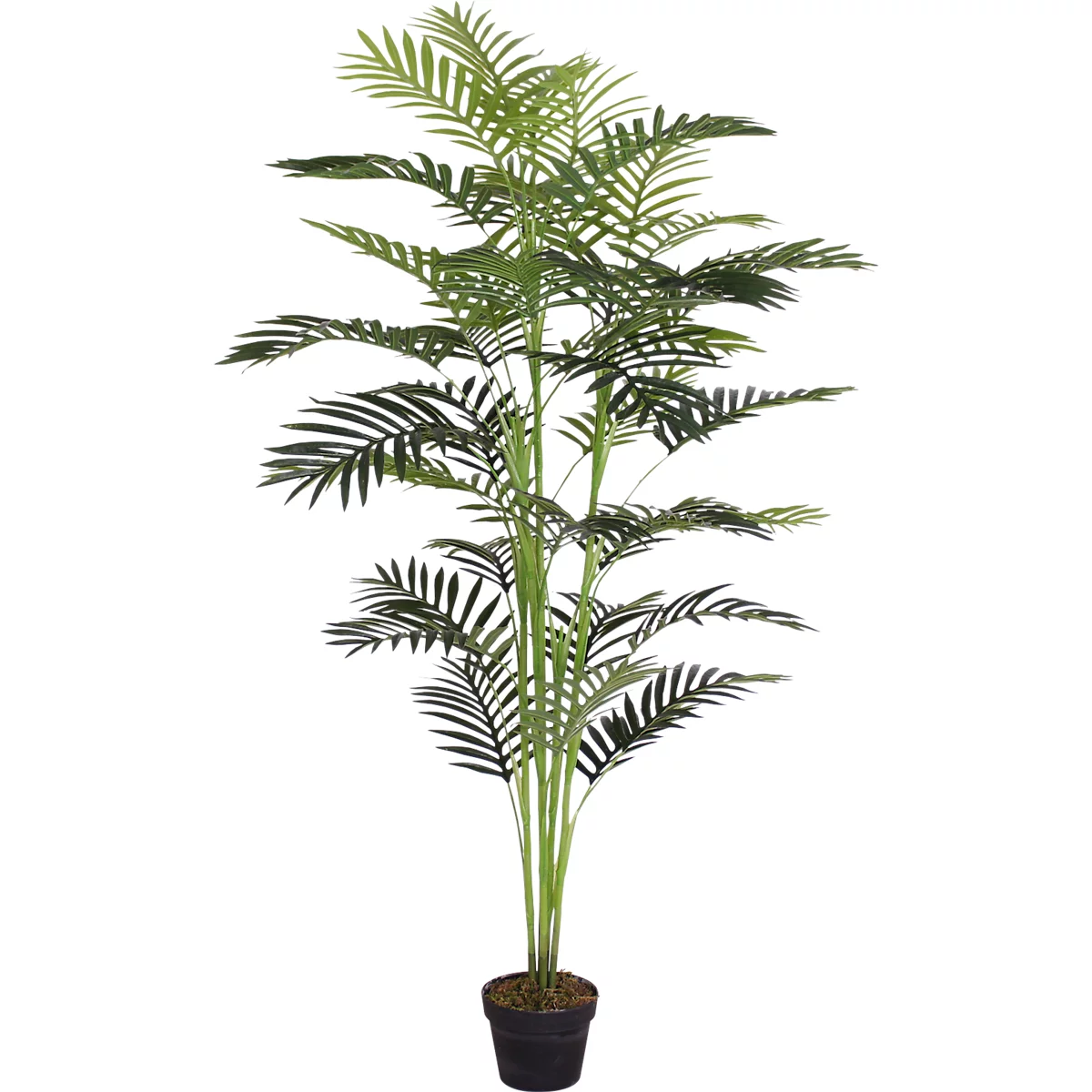 Kunstpflanze meet® by Paperflow Palme, inkl. Kunststoff-Topf, H 1600 mm, PEVA