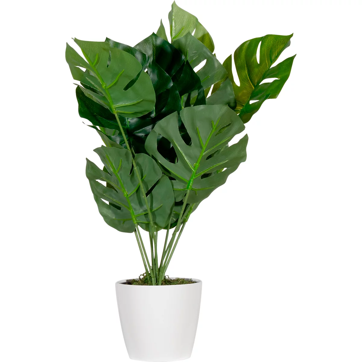 Kunstplant meet® van Paperflow Monstera, incl. kunststof pot, H 450 mm, PEVA
