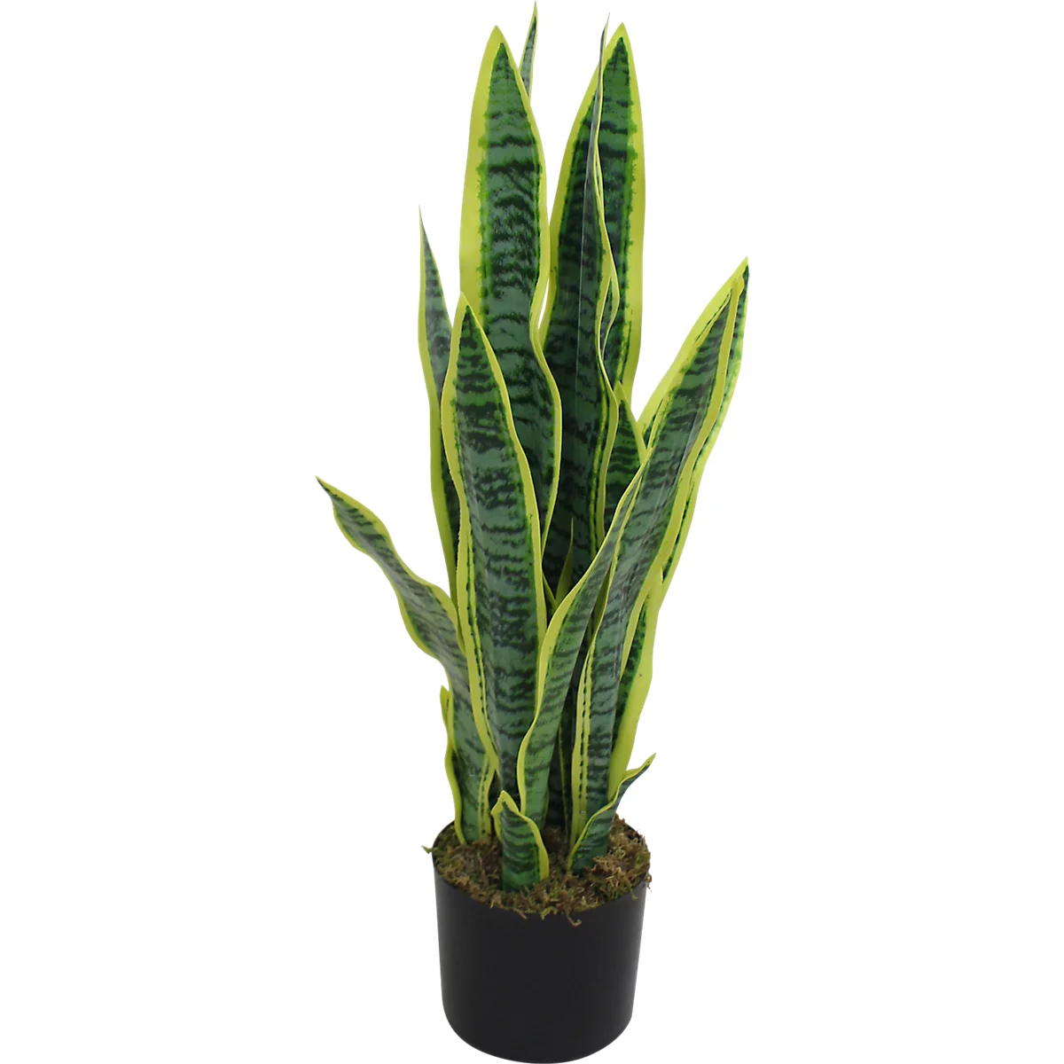Kunstplant meet® van Paperflow Sansevieria, incl. kunststof pot, H 650 mm, PEVA