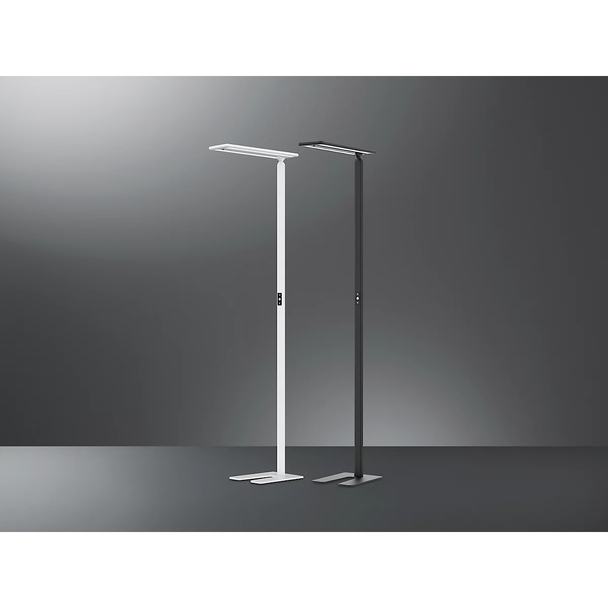 Lampadaire LED Hansa Larimar, réglable &amp; orientable, classe d'efficacité énergétique E, 81 lumens, 4000 K, H 1997 mm, blanc