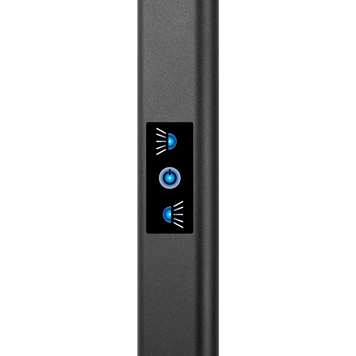 Lampadaire LED Hansa Larimar, réglable &amp; orientable, classe d'efficacité énergétique E, 81 lumens, 4000 K, H 1997 mm, noir