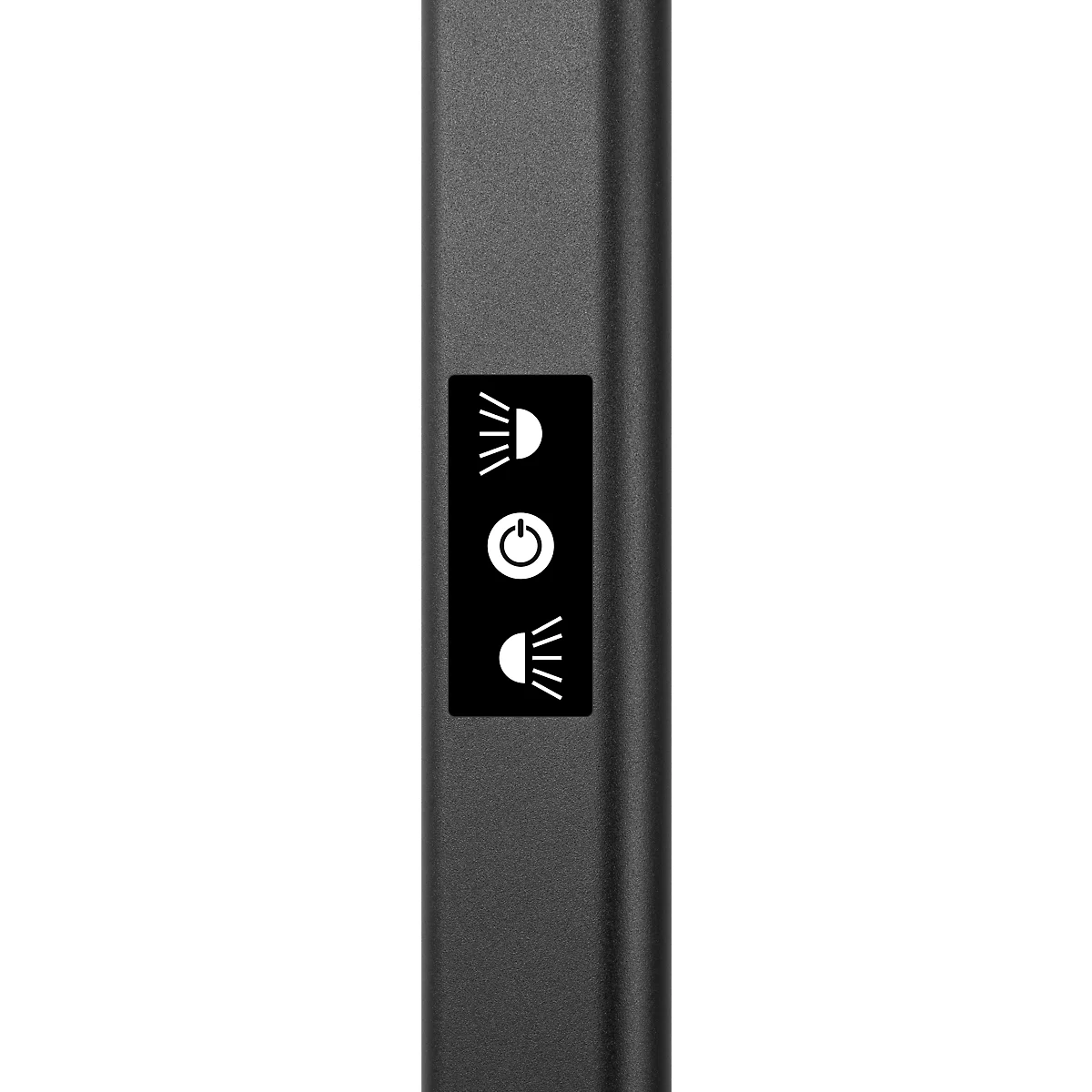 Lampadaire LED Hansa Larimar, réglable &amp; orientable, classe d'efficacité énergétique E, 81 lumens, 4000 K, H 1997 mm, noir