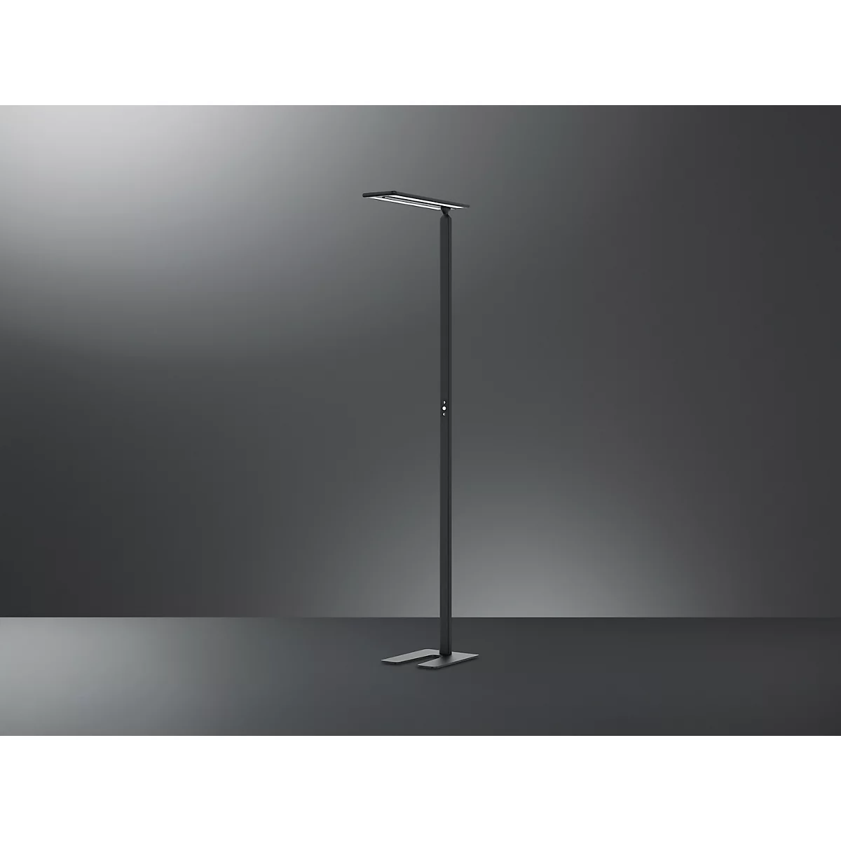 Lampadaire LED Hansa Larimar, réglable &amp; orientable, classe d'efficacité énergétique E, 81 lumens, 4000 K, H 1997 mm, noir