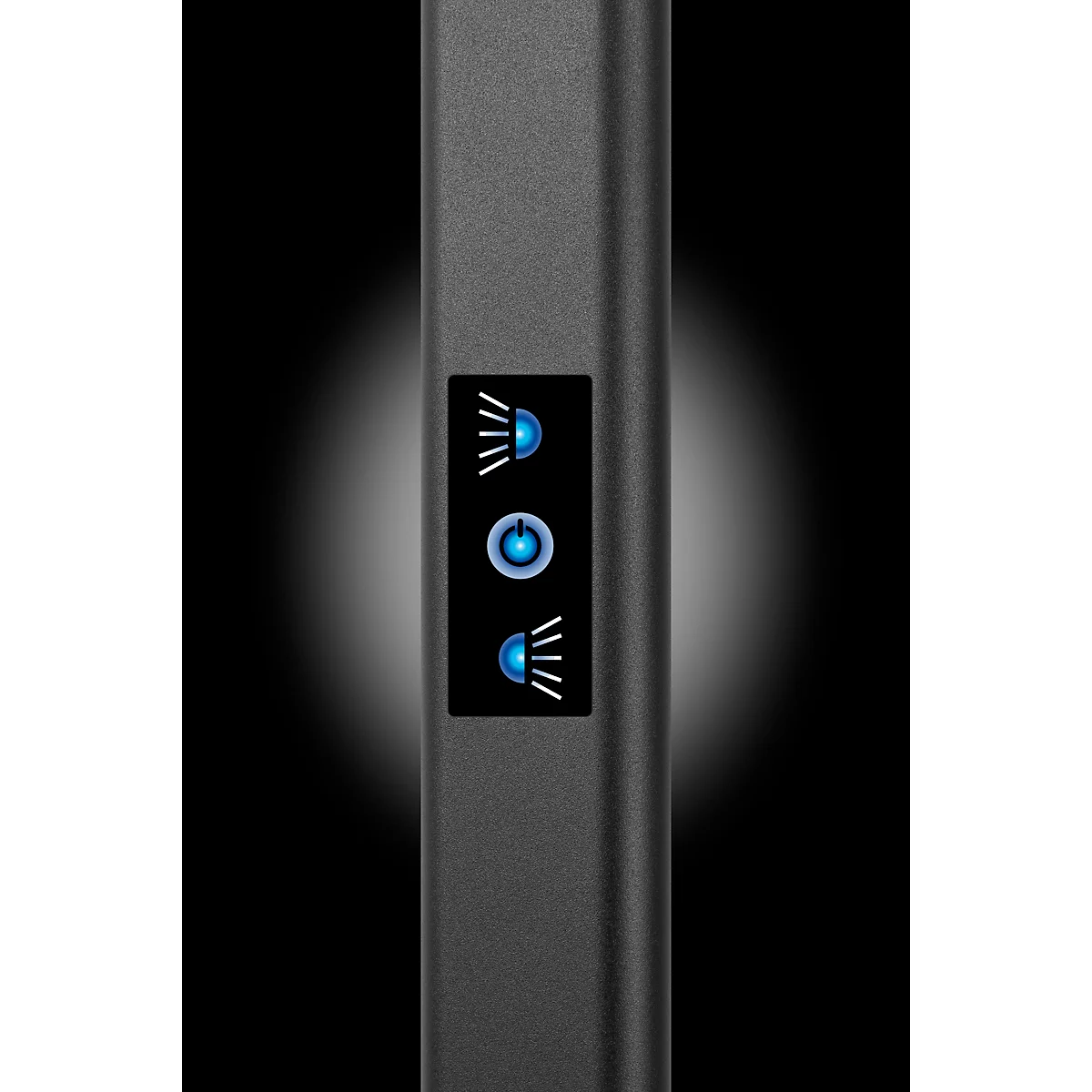Lampadaire LED Hansa Larimar, réglable &amp; orientable, classe d'efficacité énergétique E, 81 lumens, 4000 K, H 1997 mm, noir