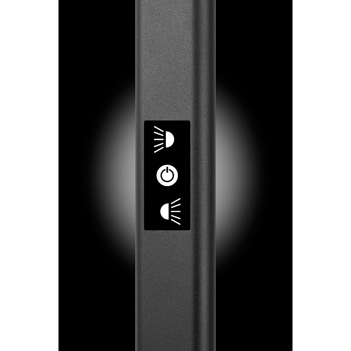 Lampadaire LED Hansa Larimar, réglable &amp; orientable, classe d'efficacité énergétique E, 81 lumens, 4000 K, H 1997 mm, noir