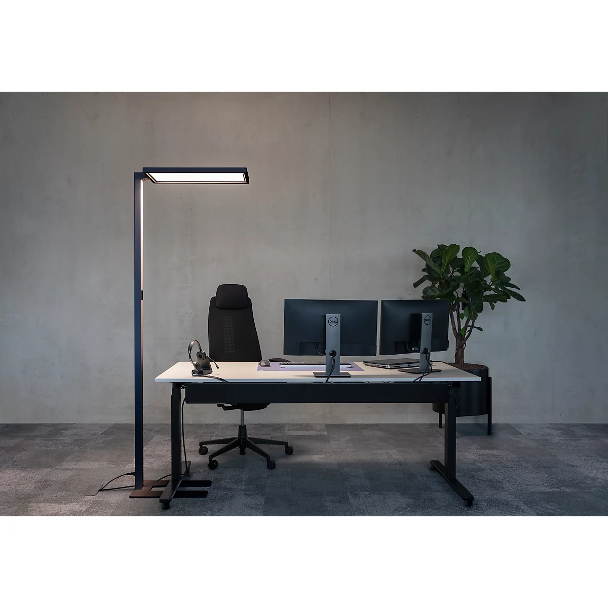 Bureau avec bureau, moniteurs, chaise, lampadaire et plante. Le fond est un mur gris.