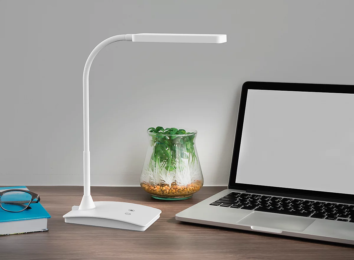Lampe de bureau LED MAULpearly - tactile à 3 niveaux - pivotant et  inclinable - 320 lm acheter à prix avantageux
