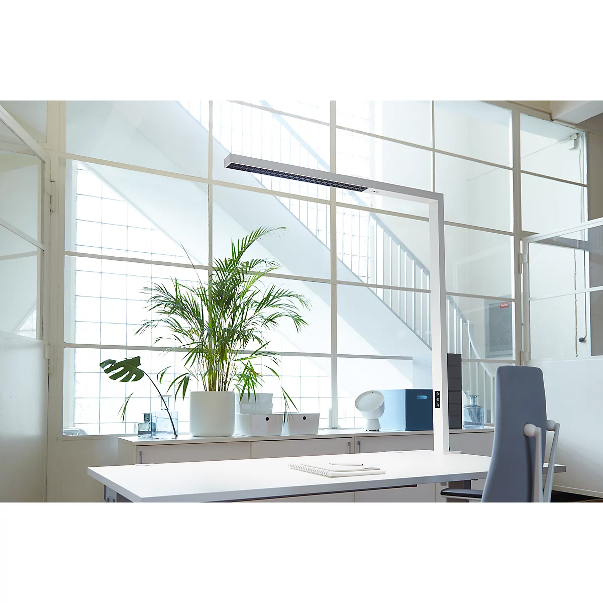 Lampe de table à pince LED dotlux STLYEbutler table, avec variateur, convient particulièrement aux bureaux réglables en hauteur, 10200 lm