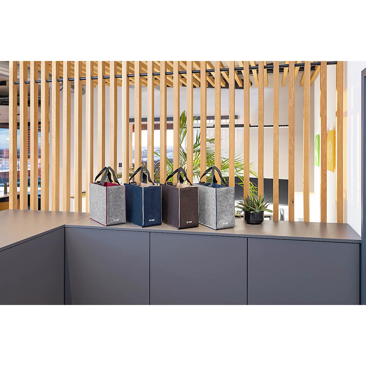 Vier geïsoleerde boodschappentassen in verschillende kleuren staan op een plank voor houten lamellen. Rechts staat een kleine potplant.