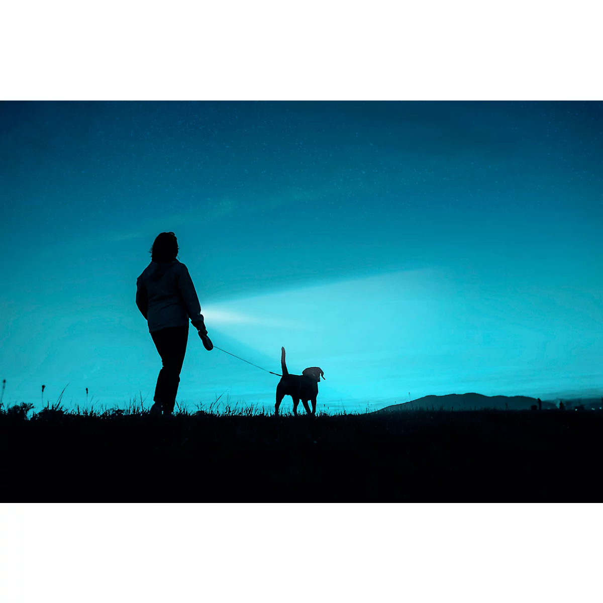 Silhouette of a person walking a dog at night. The bright spotlight of the flashlight illuminates the path.