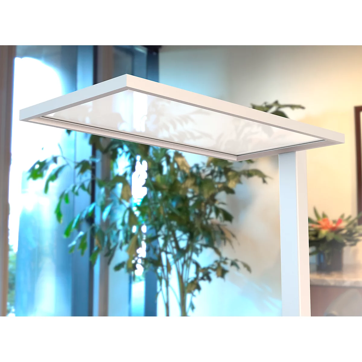 A white LED lamp with a rectangular head illuminates. The background is blurred, with plants and windows.