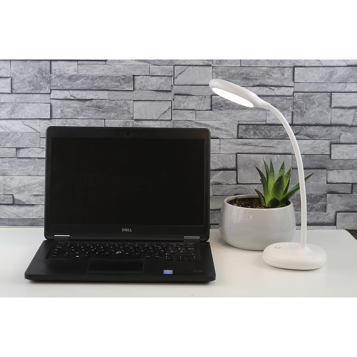 Ein Laptop, eine weiße Lampe und eine Pflanze stehen auf einem Schreibtisch vor einer Steinwand.