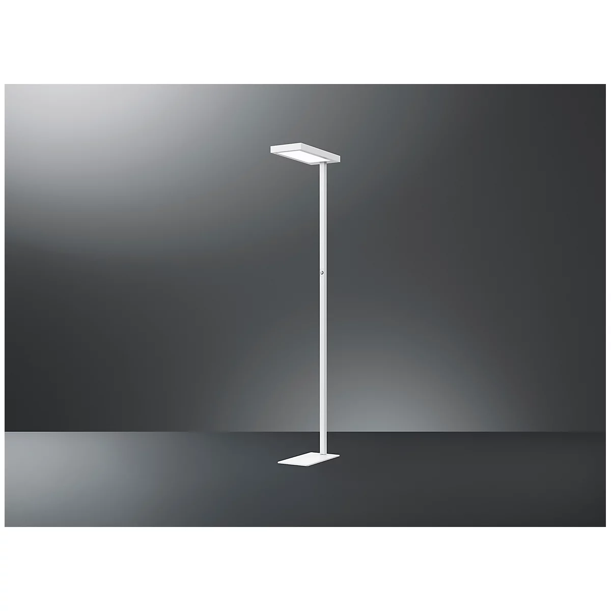 LED vloerlamp Jaspis, vermogen 52 W, 5600 lm, 4000 K, dimbaar, direct/indirect licht, wit