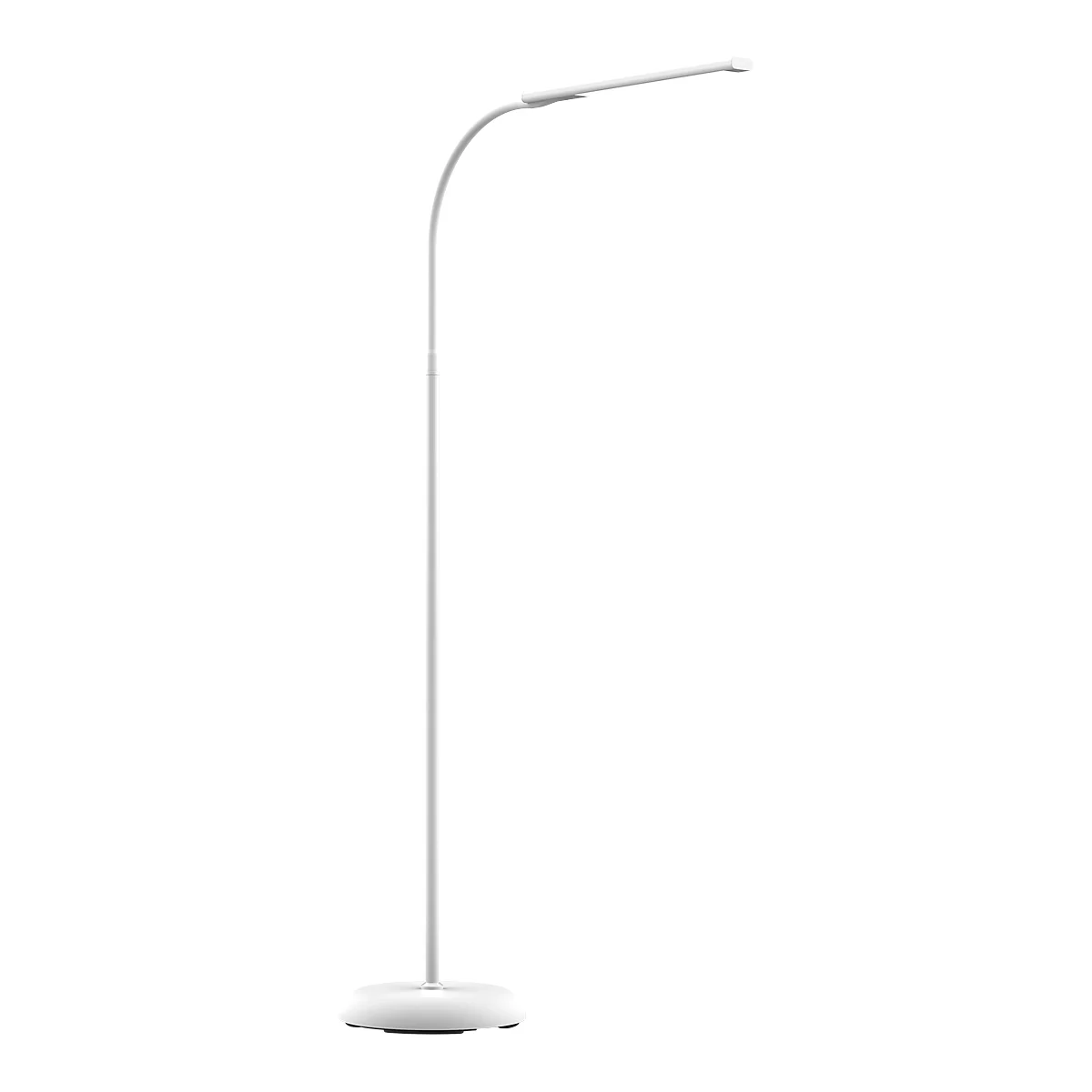 LED-vloerlamp MAULpirro, vermogen 7 W, 4-staps dimmer, 390 lm, draaibaar, wit