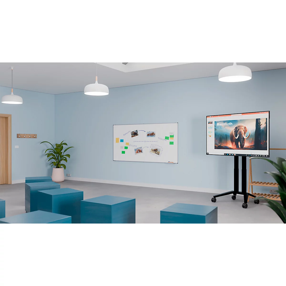 Un bureau lumineux avec des murs bleu clair. Un écran affiche une image d'un éléphant. Des sièges carrés bleus au premier plan.