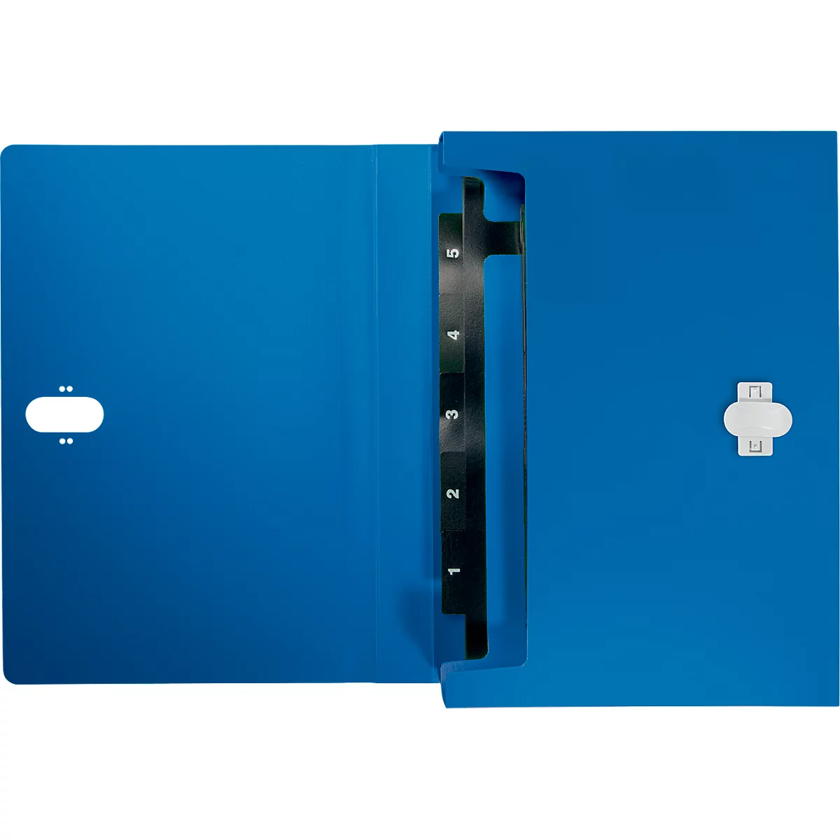 Leitz® Dokumentenmappe Recycle, A4, bis 250 Blatt, 5 Fächer & Ablagefach, blickdicht, 100 % recycelbar, Blauer Engel, Kunststoff, blau