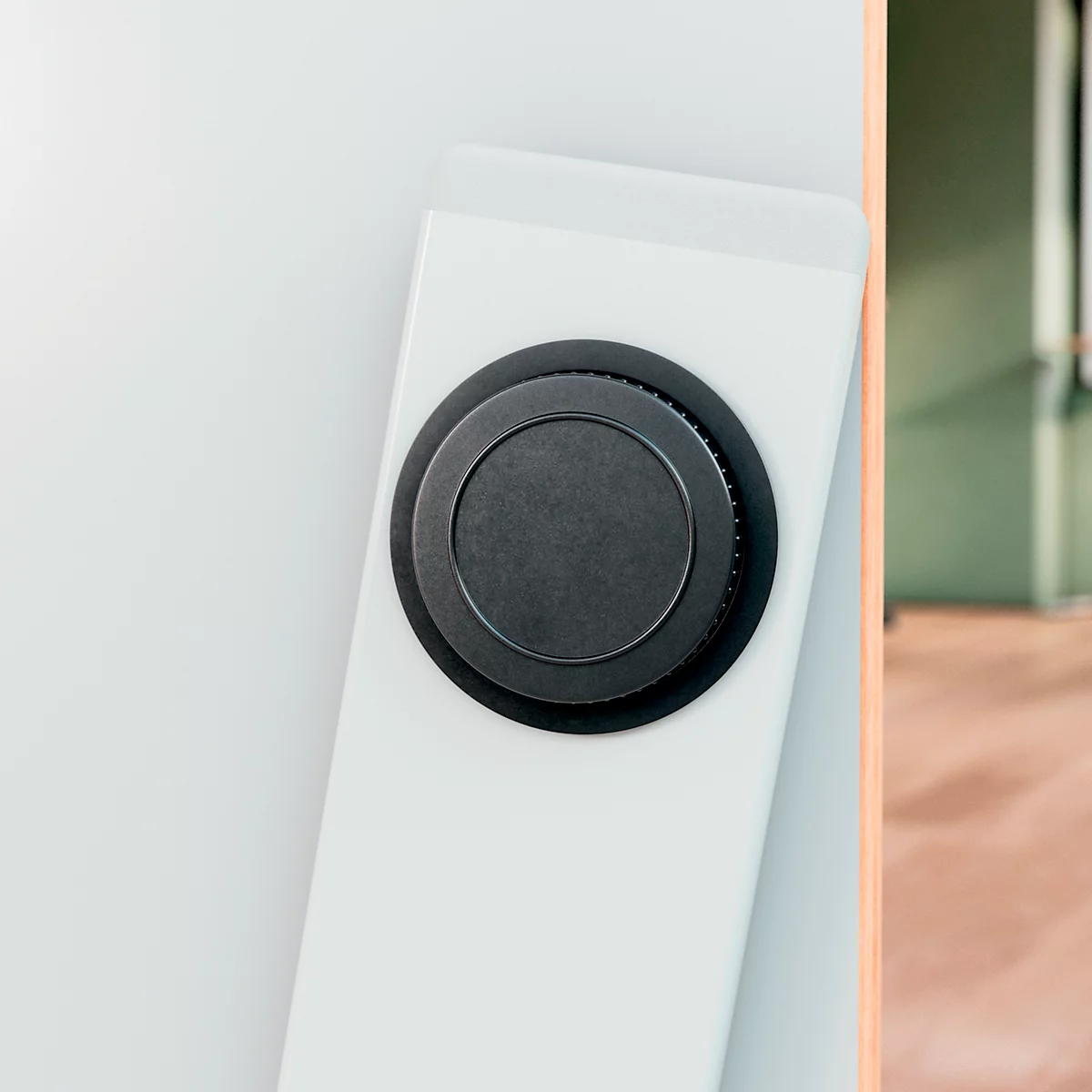 Black knob set in a white frame. The background is blurred, showing wood and a green wall.