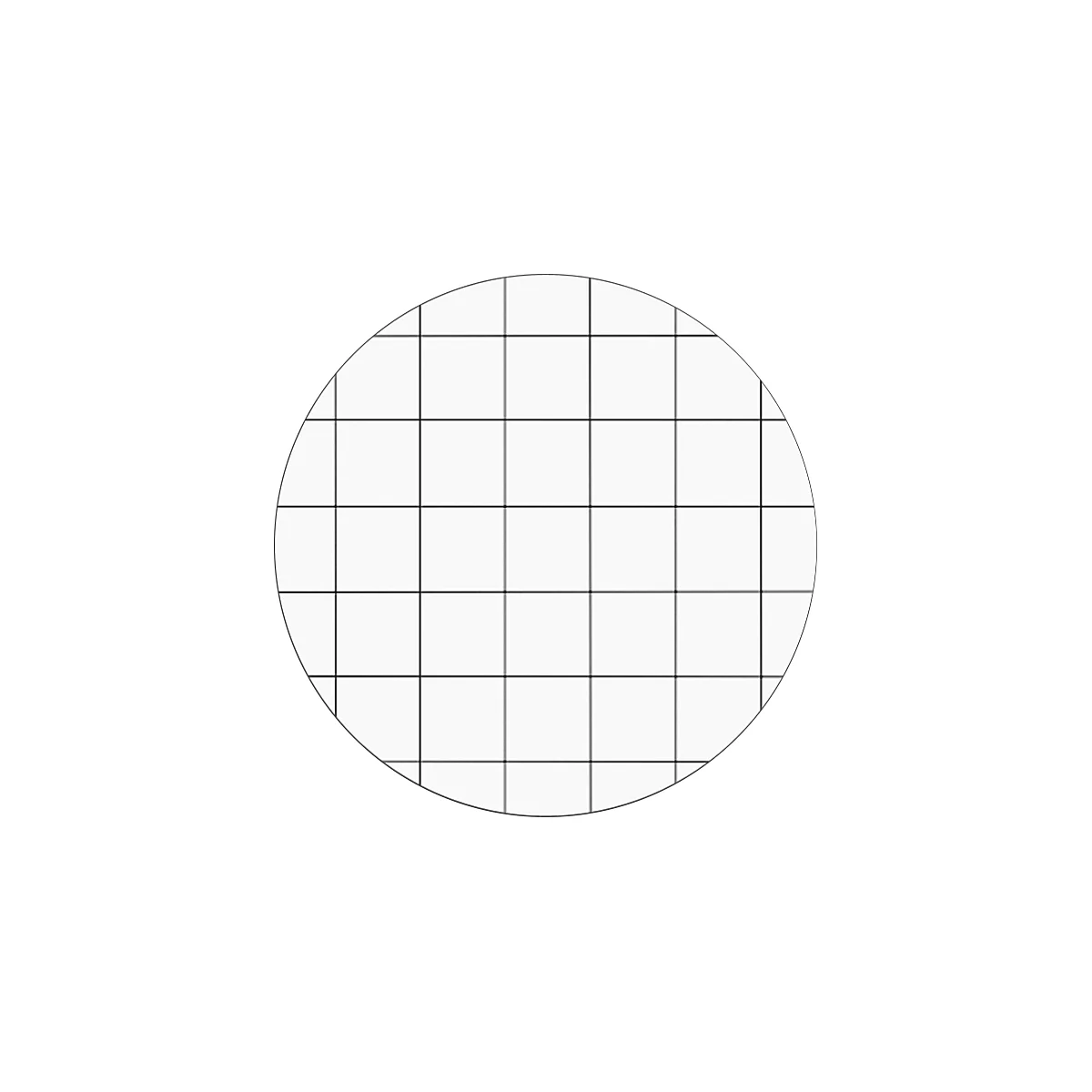Circular image with a grid pattern. The black lines divide the area into squares.