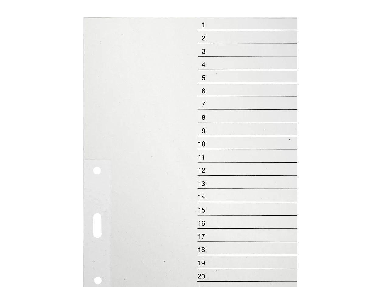 LEITZ® Papier-Register, DIN A4, Nr. 1231, 1-31 (31 Blätter)