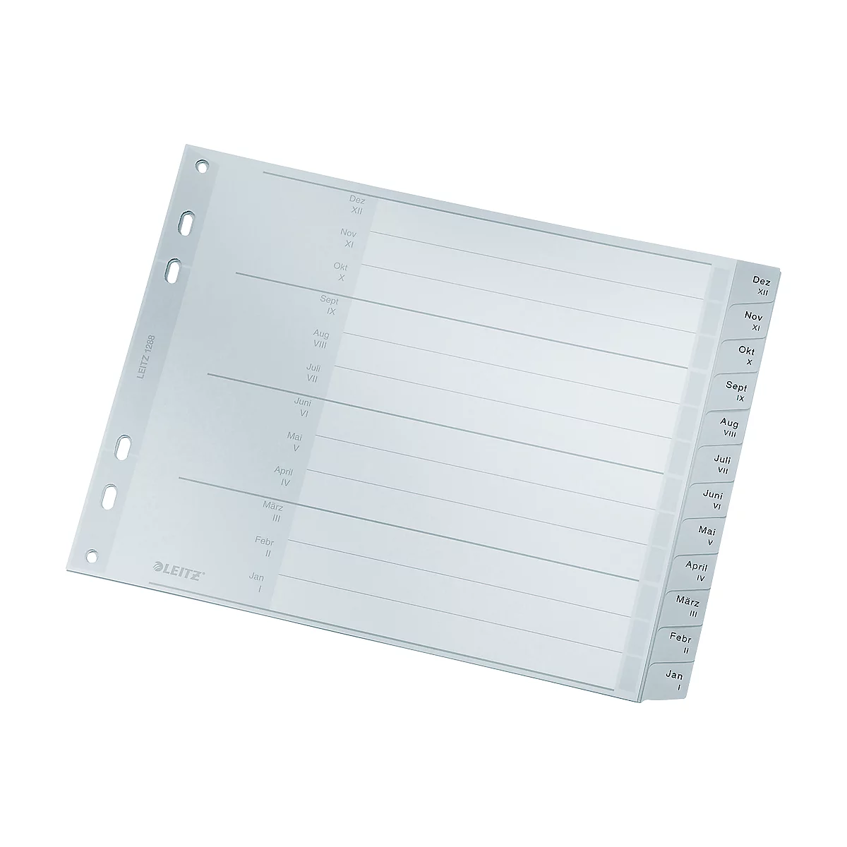 Transparent insert for a planner, with lines and month indications. The Leitz logo is visible.