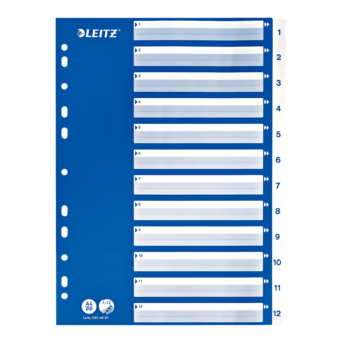 Blue Leitz file divider, with 12 tabs, labeled with numbers. Holes on the left for filing.