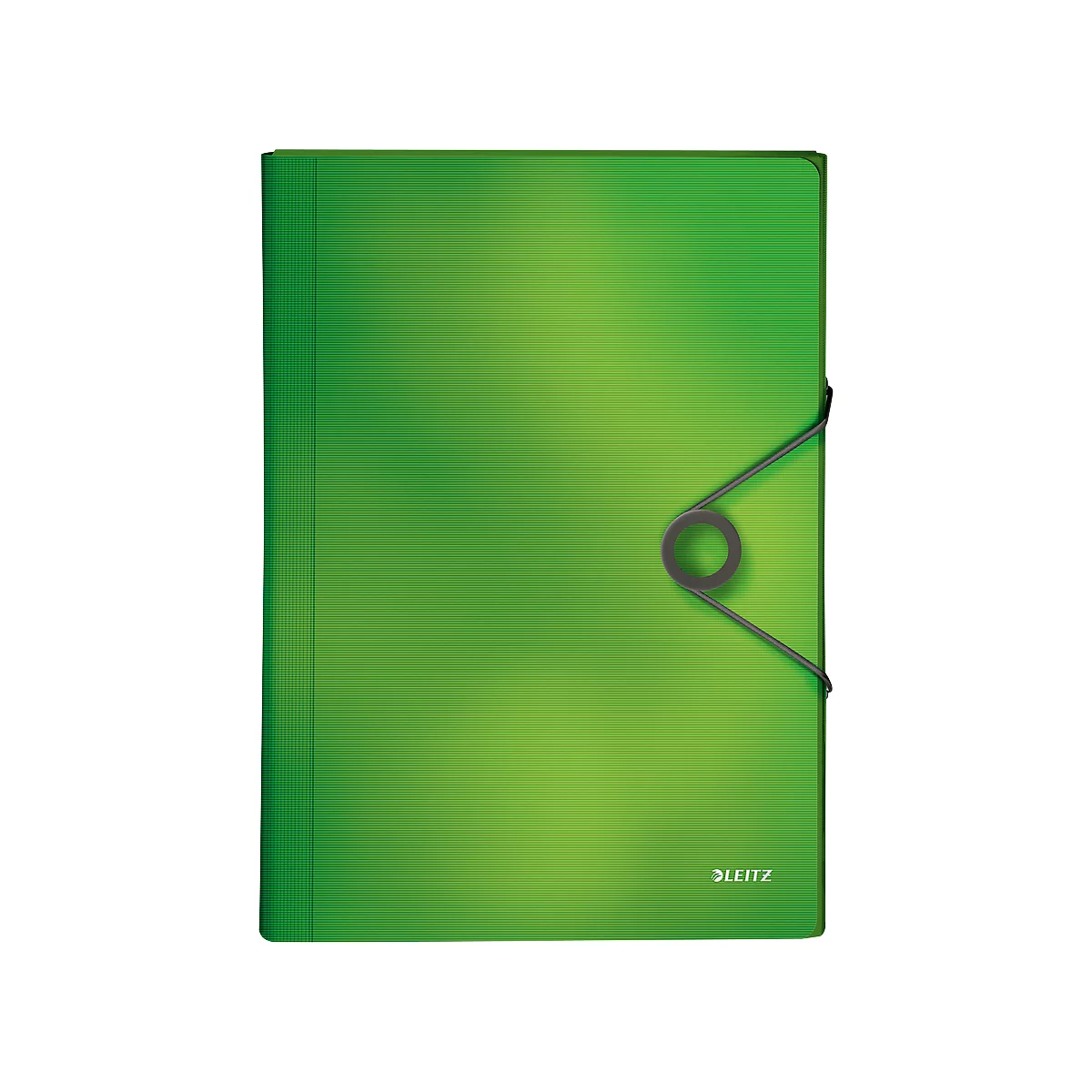 Green folder with elastic closure. The Leitz logo is at the bottom right.