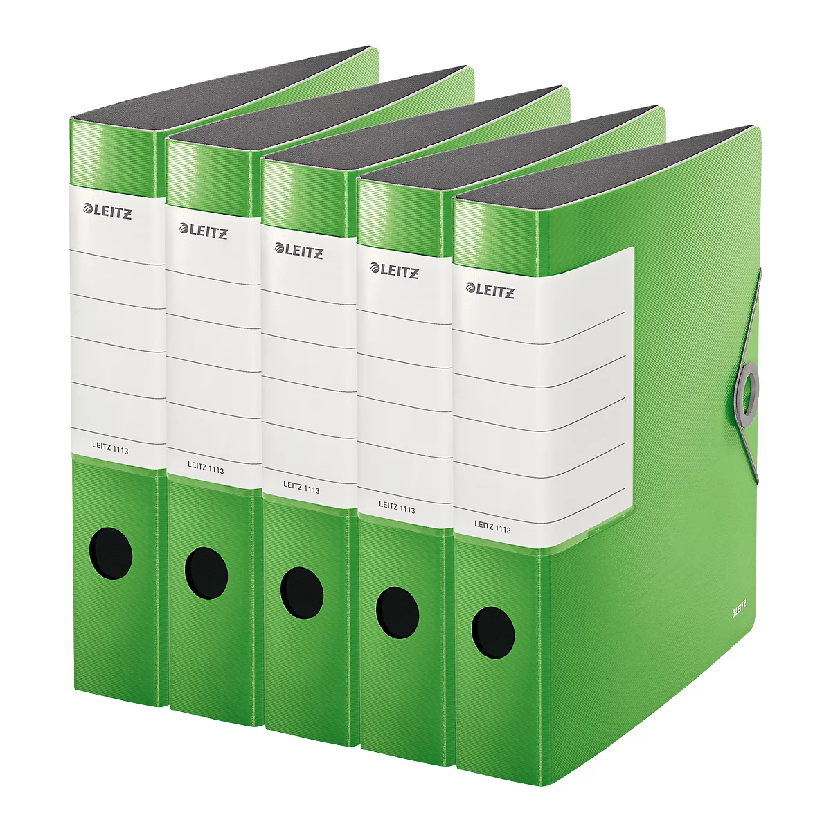 Five green folders side by side. Each folder says "LEITZ" and has a writable field. Black holes and metal closure.