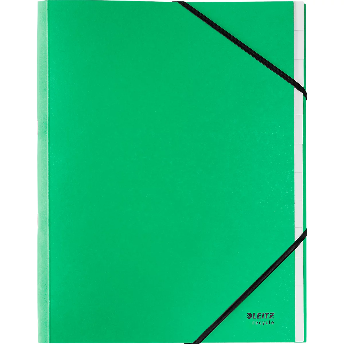Leitz® Recycle map, A4, 12 vakken met blanco tabbladen, inhoudsopgave, elastieksluiting, 100% recyclebaar, karton, groen