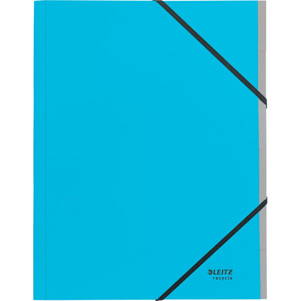 Leitz® Recycle map, A4, 6 vakken met blanco tabbladen, inhoudsopgave, elastieksluiting, 100% recyclebaar, karton, blauw